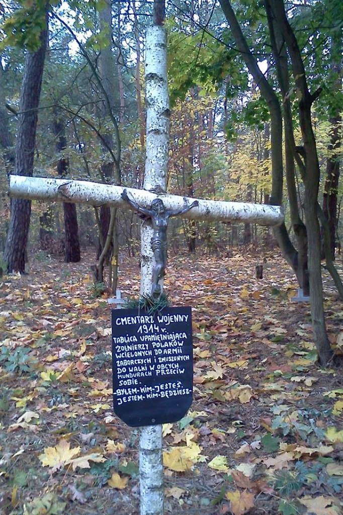 Gąbiński cmentarz z I Wojny Światowej nie zniknie. Dzięki miłości do historii. [zdjęcia]