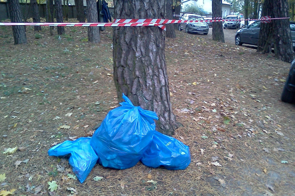 Gąbiński cmentarz z I Wojny Światowej nie zniknie. Dzięki miłości do historii. [zdjęcia]