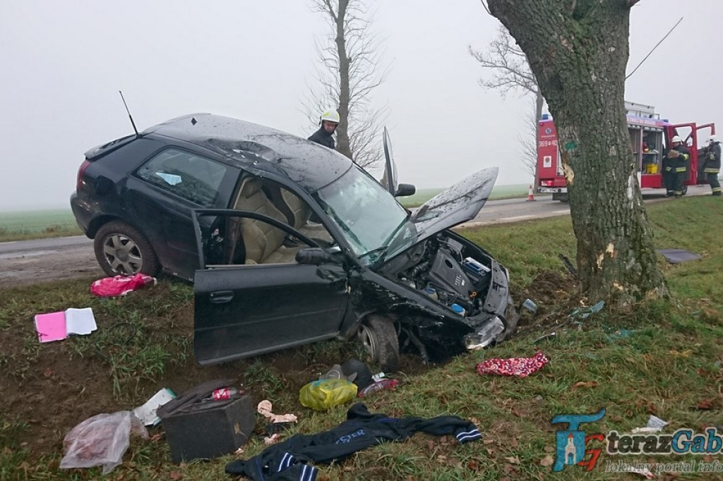 Na wylocie z Gąbina samochód uderzył w drzewo [zdjęcia]