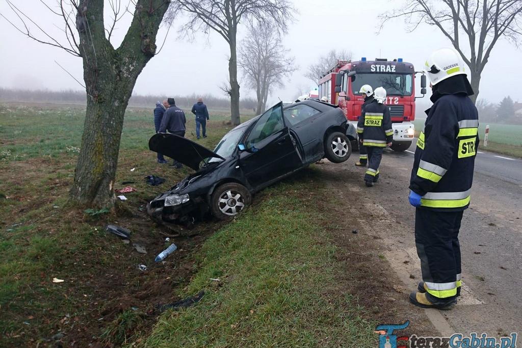 Na wylocie z Gąbina samochód uderzył w drzewo [zdjęcia]