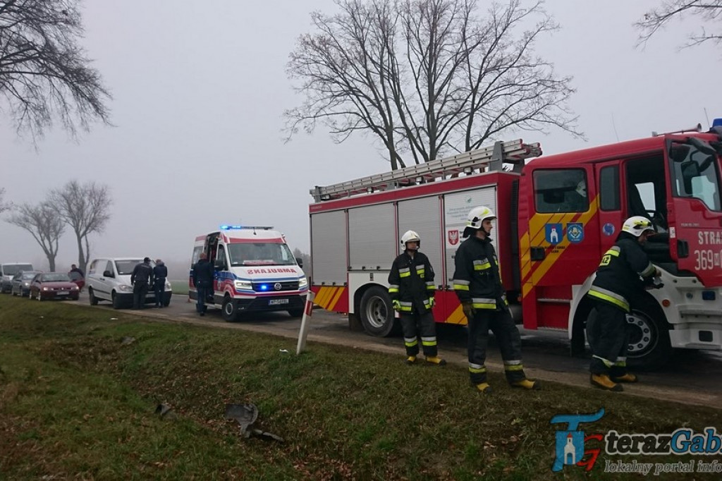 Na wylocie z Gąbina samochód uderzył w drzewo [zdjęcia]