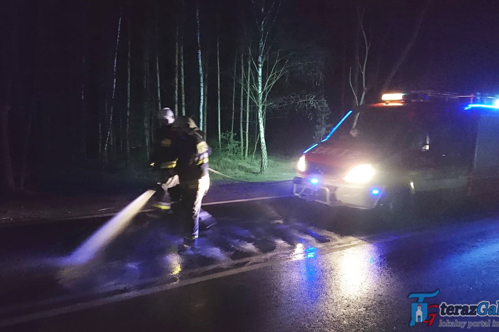 Popsuł się autobus i wyciekał z niego płyn. Strażacy usuwali plamę o długości kilku kilometrów.