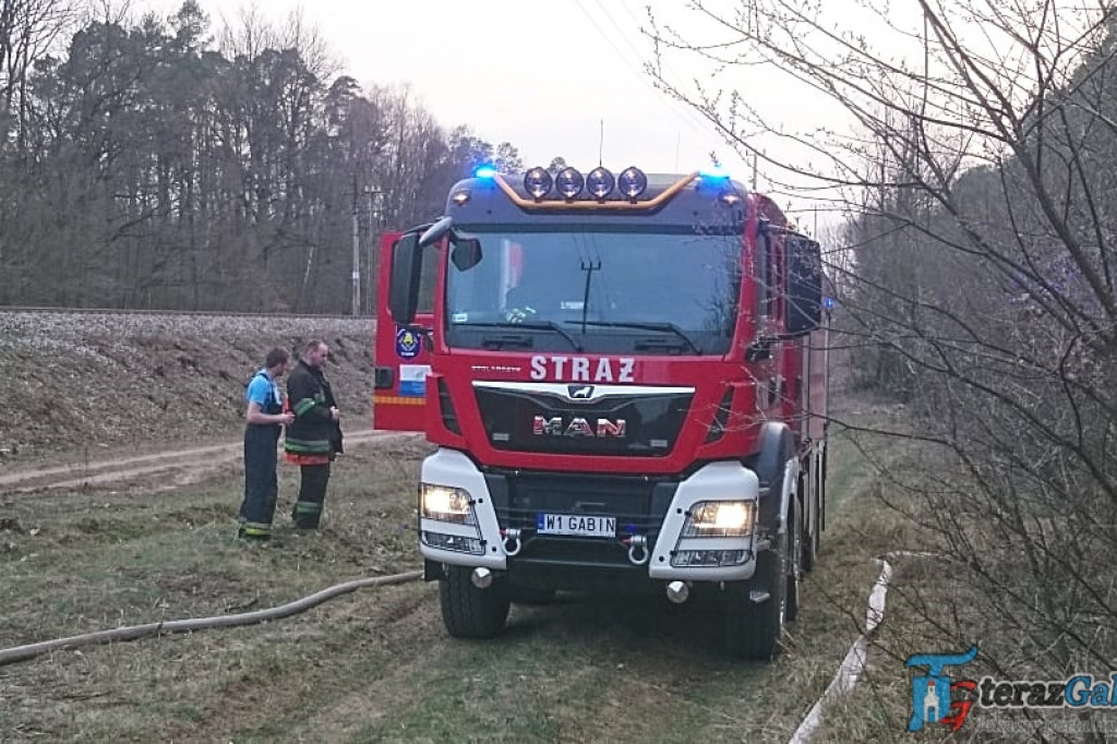 Najwyższy stopień zagrożenia pożarowego w lasach. Wczoraj paliło się w Łącku i Alfonsowie. [zdjęcia]