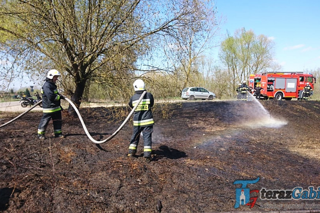 W Troszynie paliła się trawa. W akcji dwie jednostki Straży Pożarnej. [zdjęcia]