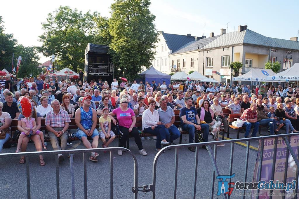 Dni Gąbina 2019 [zdjęcia]