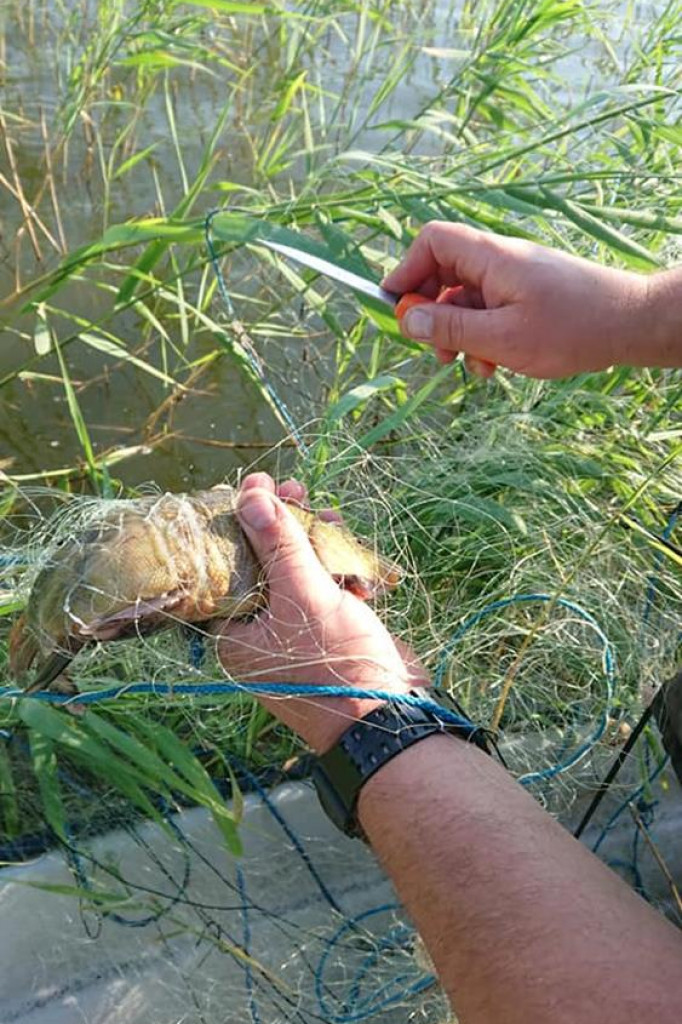 Nielegalny proceder na Jeziorze Zdworskim cały czas trwa. Na szczęście są aktywni społecznicy. [zdjęcia]