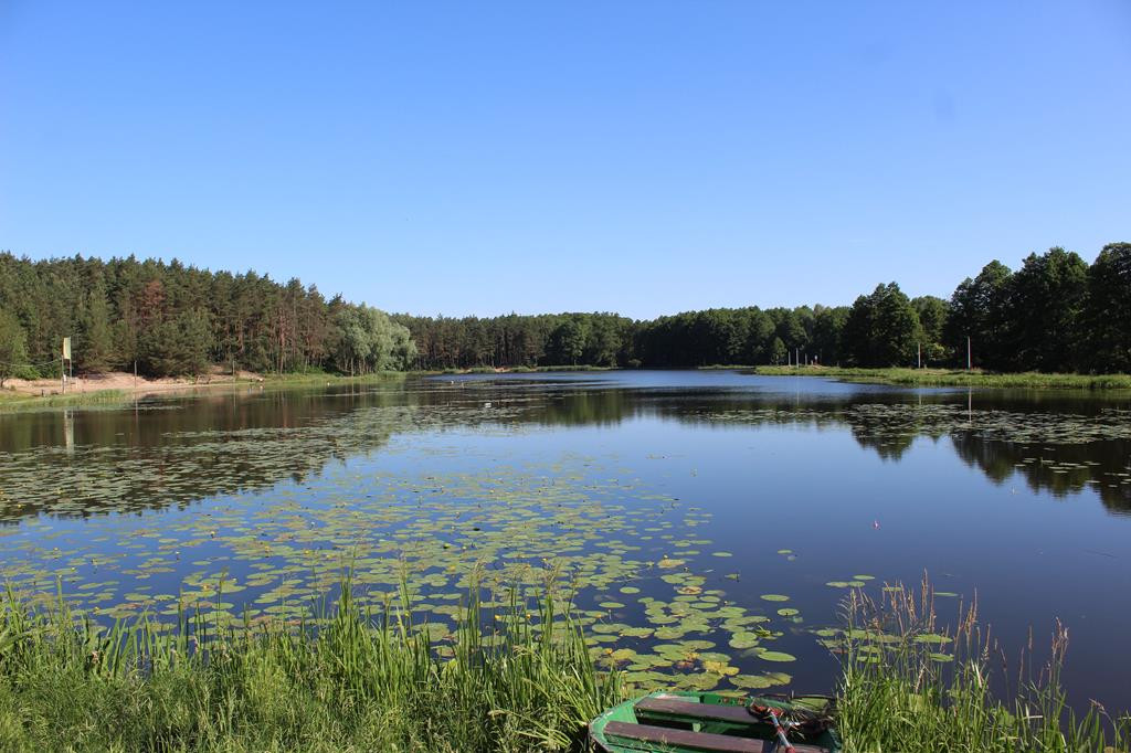 Zalew Piechota w Gostyninie zaprasza. To wyjątkowe miejsce.