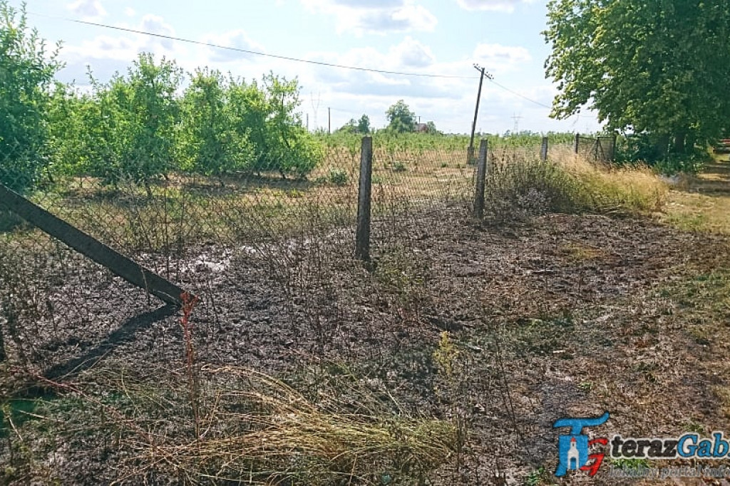 Groźny pożar w Lipińskich. Mało brakowało, a zapaliłoby się zboże. [zdjęcia]