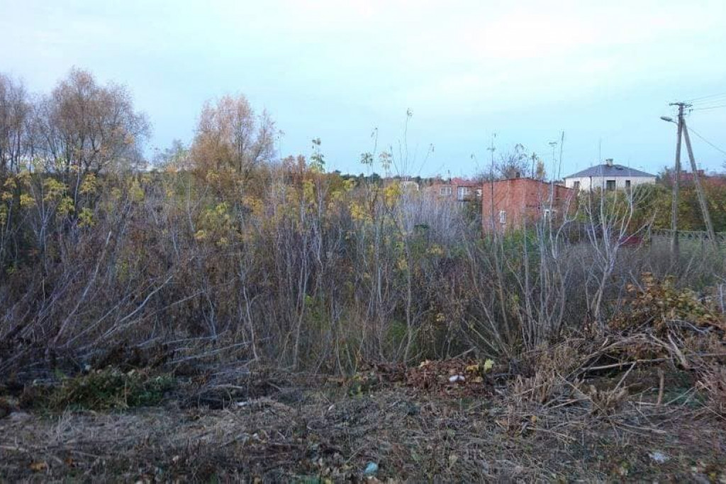 Wcześniej zarośnięty i zaśmiecony. Teraz nabiera nowego wyglądu i staje się miejscem do spotkań mieszkańców. [zdjęcia]