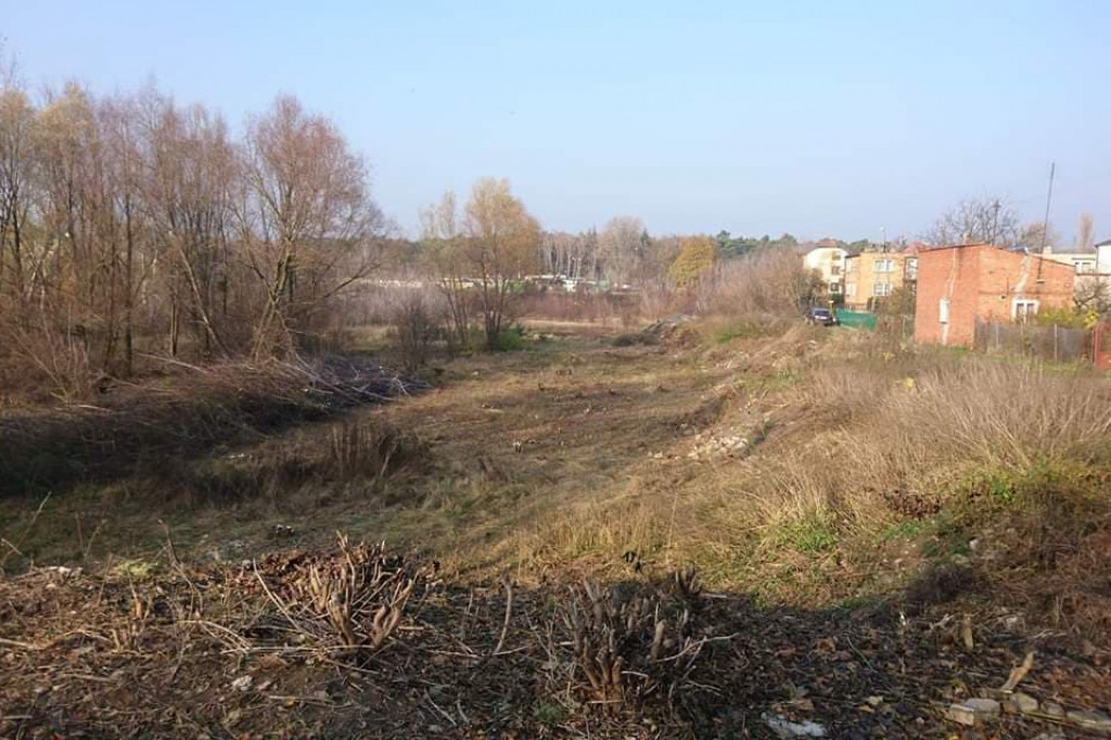 Wcześniej zarośnięty i zaśmiecony. Teraz nabiera nowego wyglądu i staje się miejscem do spotkań mieszkańców. [zdjęcia]