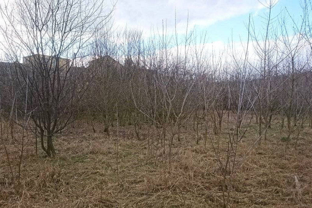 Wcześniej zarośnięty i zaśmiecony. Teraz nabiera nowego wyglądu i staje się miejscem do spotkań mieszkańców. [zdjęcia]