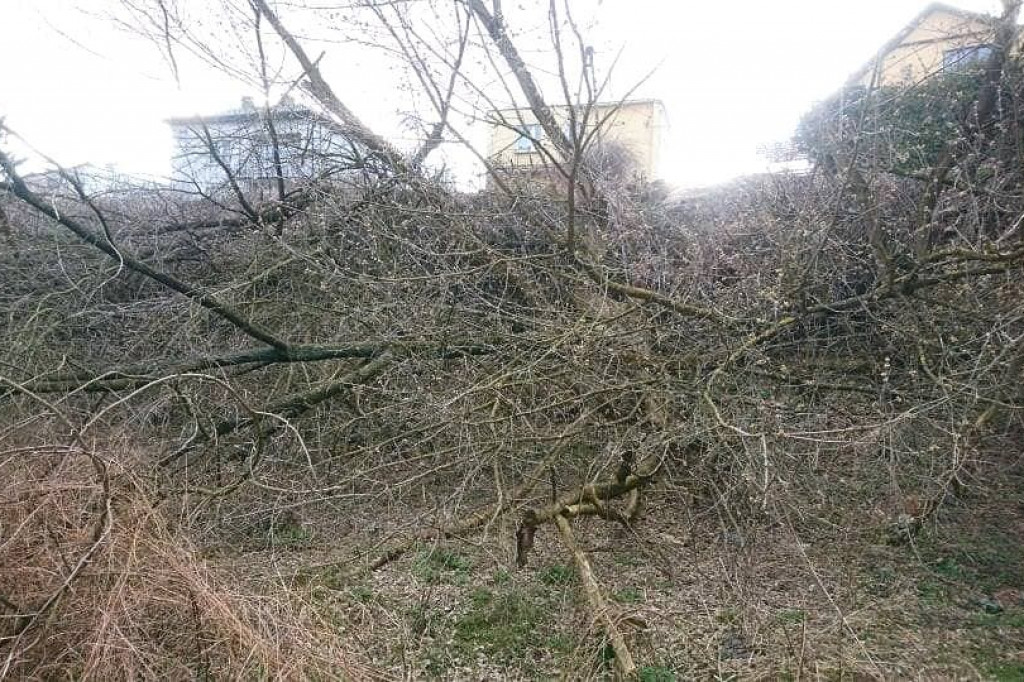 Wcześniej zarośnięty i zaśmiecony. Teraz nabiera nowego wyglądu i staje się miejscem do spotkań mieszkańców. [zdjęcia]