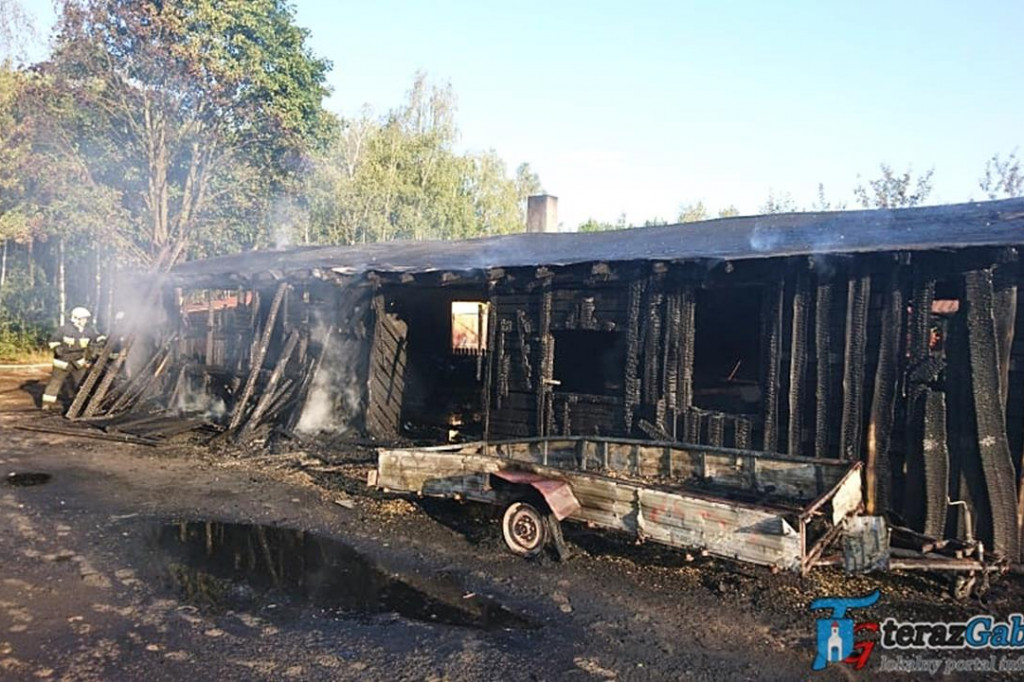 Paliła się stolarnia i las. W akcji strażacy z Gąbina. [zdjęcia]