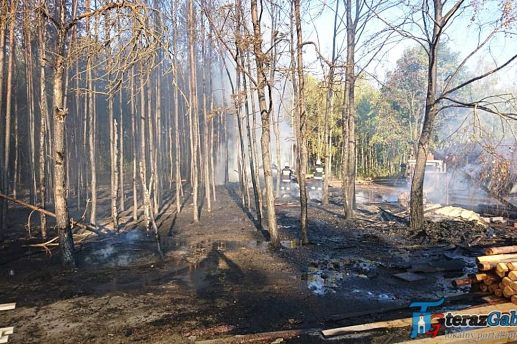 Paliła się stolarnia i las. W akcji strażacy z Gąbina. [zdjęcia]