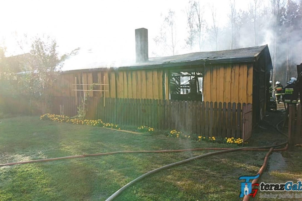 Paliła się stolarnia i las. W akcji strażacy z Gąbina. [zdjęcia]