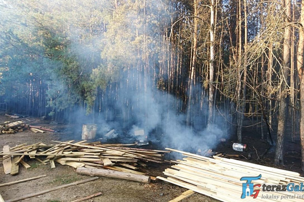 Paliła się stolarnia i las. W akcji strażacy z Gąbina. [zdjęcia]
