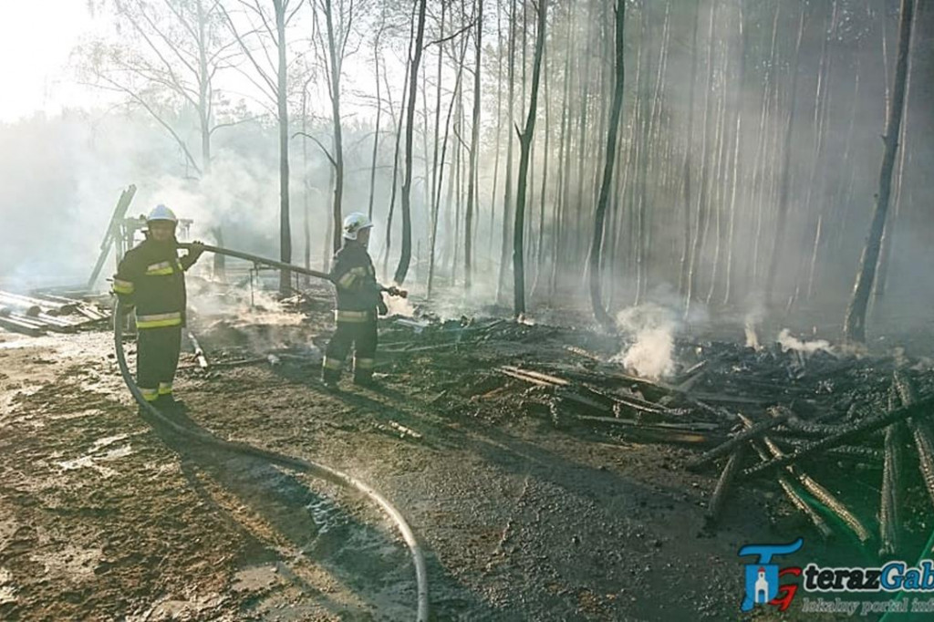Paliła się stolarnia i las. W akcji strażacy z Gąbina. [zdjęcia]