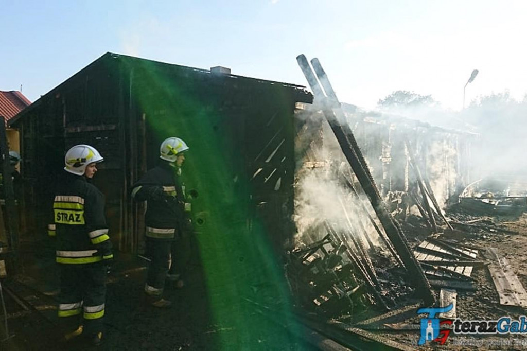 Paliła się stolarnia i las. W akcji strażacy z Gąbina. [zdjęcia]