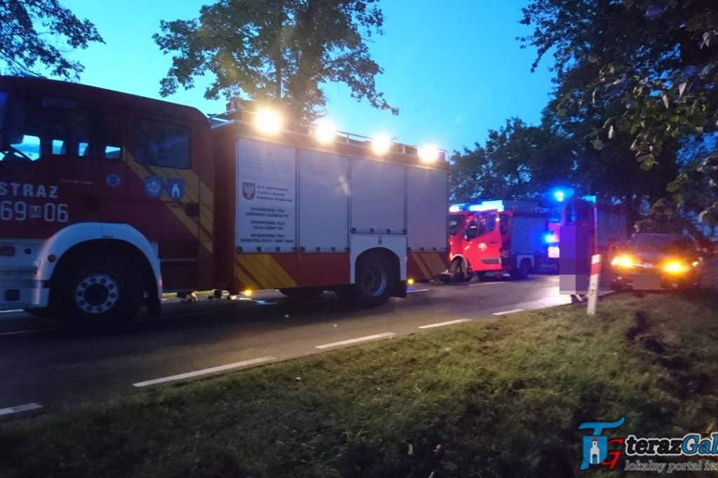 Wypadek w Guzewie. Audi uderzyło w drzewo. [zdjęcia]