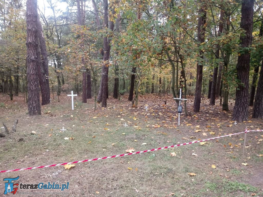 Harcerze i zuchy opiekują się cmentarzem