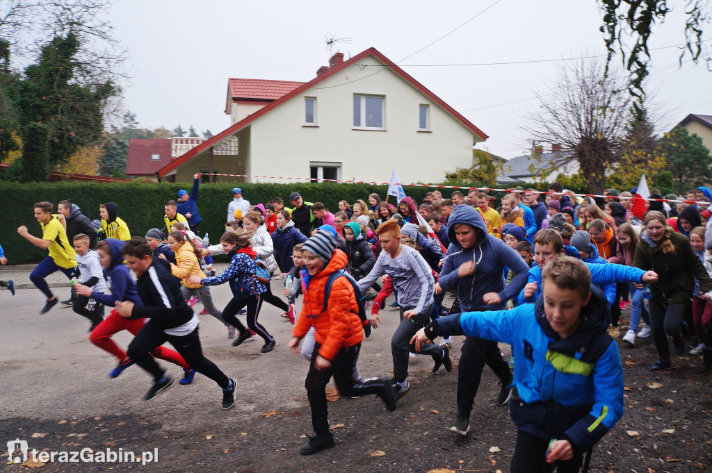 Bieg Niepodległości 2019