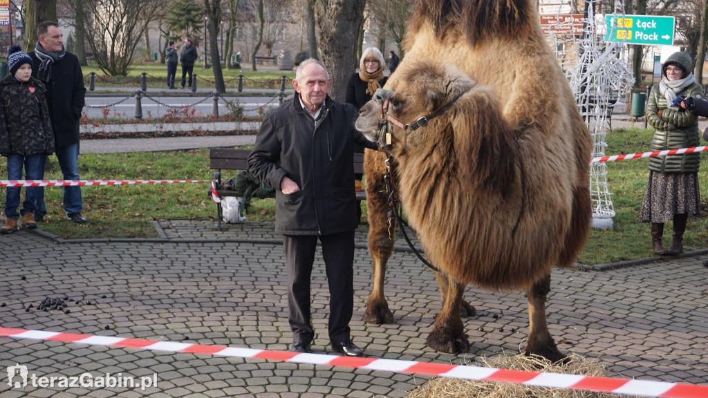 Edmee i Attica dla WOŚP.