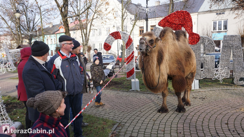 Edmee i Attica dla WOŚP.