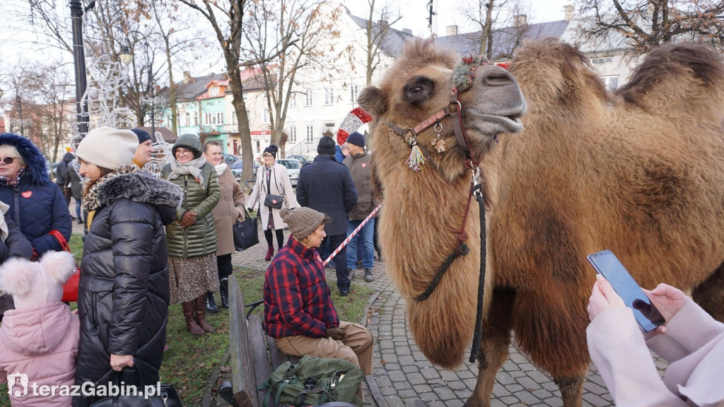 Edmee i Attica dla WOŚP.
