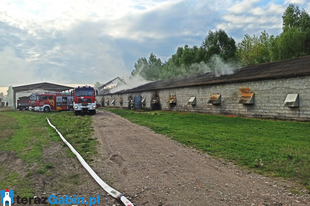 Pożar kurnika w Jordanowie.