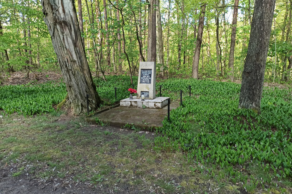 Odnowią pomnik w lesie.
