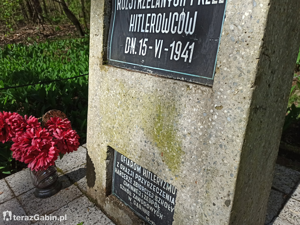 Odnowią pomnik w lesie.