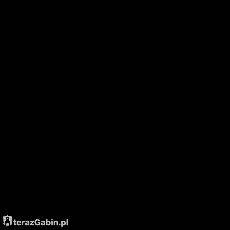 Nowe gabloty wystawowe w Gąbinie.