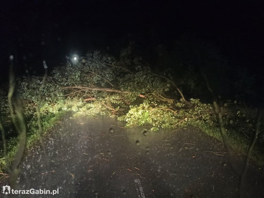Silne burze nad gminą Gąbin.