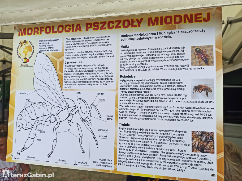Wędkarska niedziela w Zdworzu.