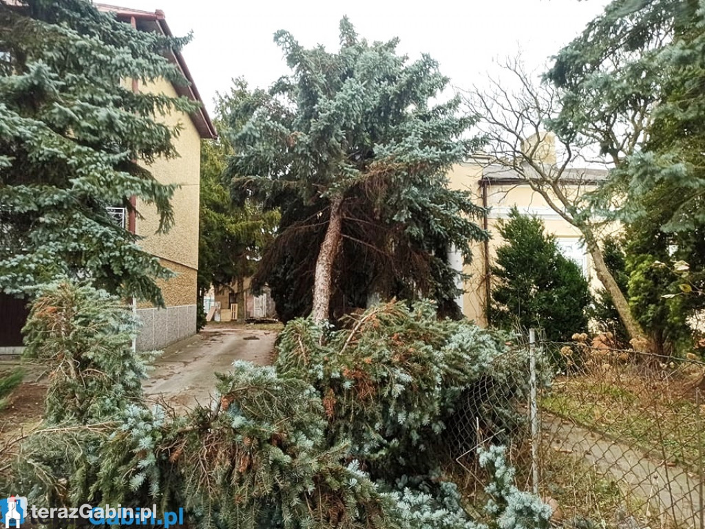 Orkan Eunice nad gminą Gąbin. Wyrządził wiele szkód.