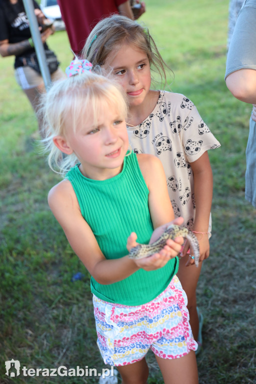 Piknik na Dołku 2023