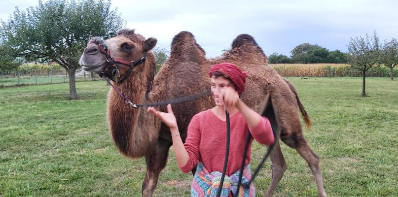 fot. Une fille, un chameau FP