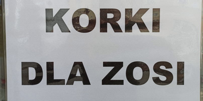 fot. OSP Gąbin