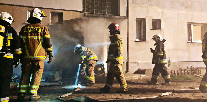 fot. terazgabin.pl