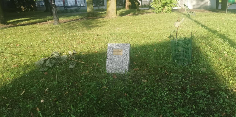 fot. Wiesław Rybicki FP