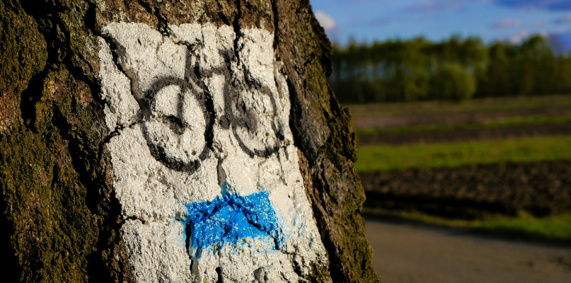 fot. pixabay.com