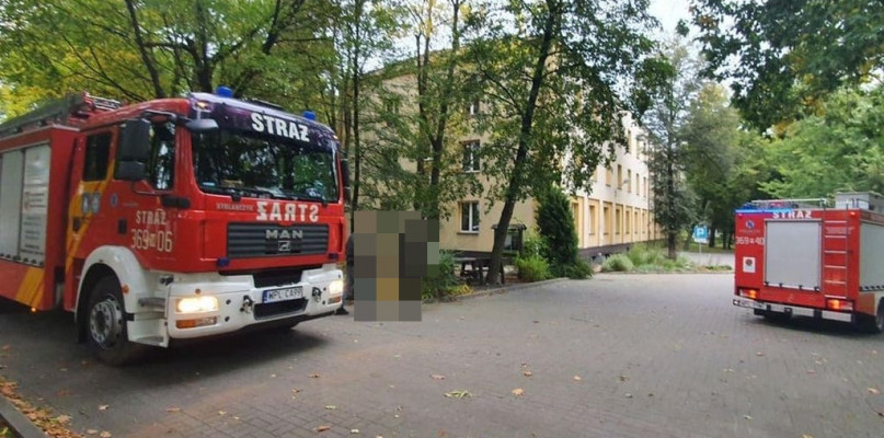 fot. terazGabin.pl