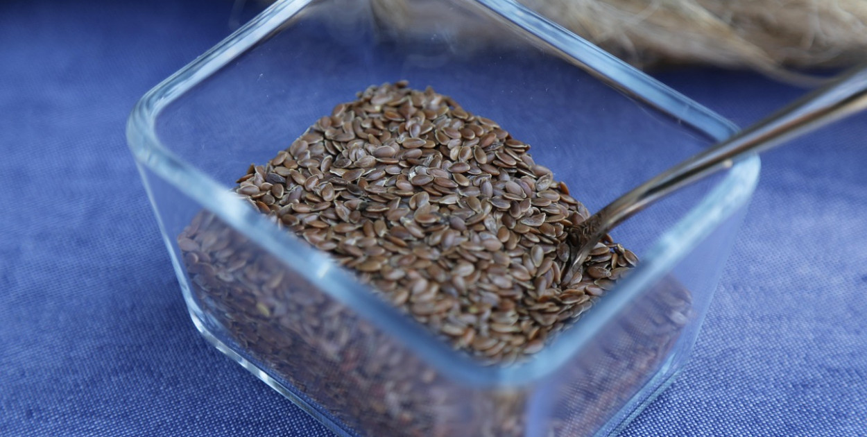 Obraz Jai79 z Pixabay