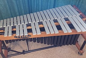 Nowy instrument w gąbińskiej Szkole Muzycznej. -53630