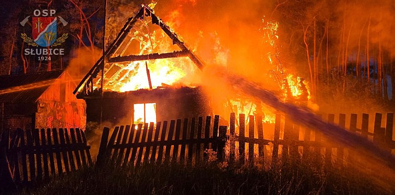 Pożar w Alfonsowie. Ogień widoczny z kilku kilometrów.  - 58909