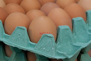Salmonella na jajach znanej marki. Nie jedz, jeśli masz je w lodówce!-59103