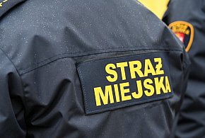 Zapuka strażnik, zapłacisz karę. Ruszyły kontrole w całej Polsce-59677