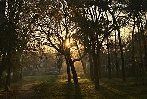 Nadchodzi najkrótszy dzień w 2025 roku. Sprawdź, kiedy przypadnie-59957