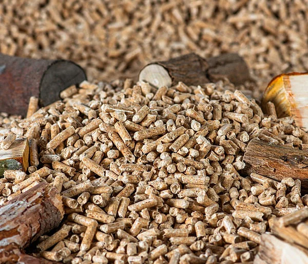 Drożeje popularny opał. Miliony Polaków dostaną po kieszeni tej zimy-59742