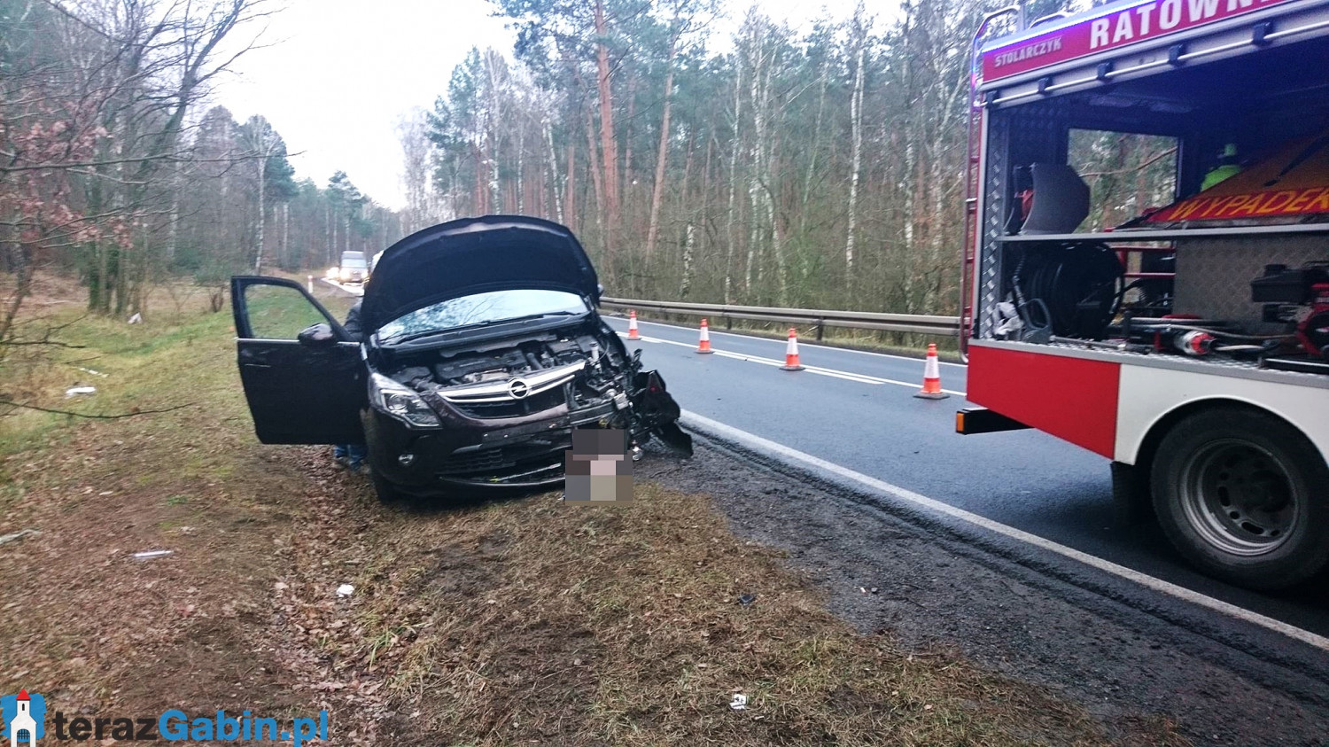 Samochód uderzył w dzika [zdjęcia]. terazgabin.pl